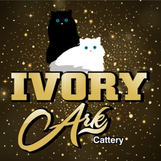 IvoryArk Cattery